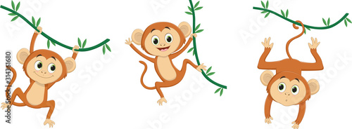Cartoon monkey hanging
