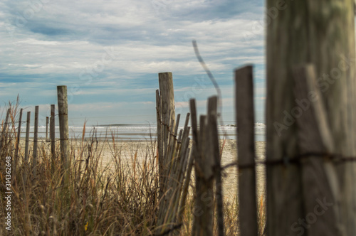 Wooden fence on the beach