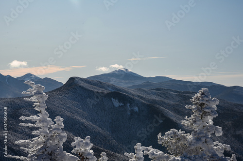 Mountain view between the trees winter