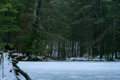 Log on a frozen lake leads to the woods