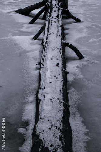A snow covered log with animal tracks