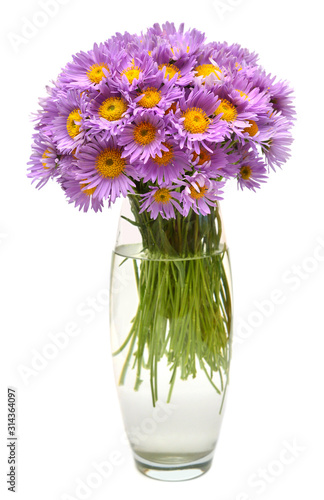 Bouquet of flowers asters alpine perennial pink in vase isolated on white background. Floral pattern, object. Flat lay, top view. Still life