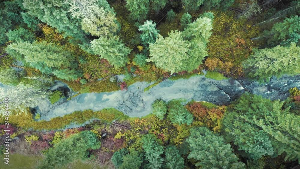 Aerial flying over a river flowing through the autumn colored Black Hills National Forest. South Dakota, USA Aerial flying over a river flowing through the autumn colored Black Hills National Forest. South Dakota, USA
