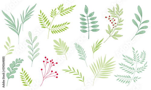 Fantasy leaves. Floral design. Hand drawn botanic vector. Set leaves.