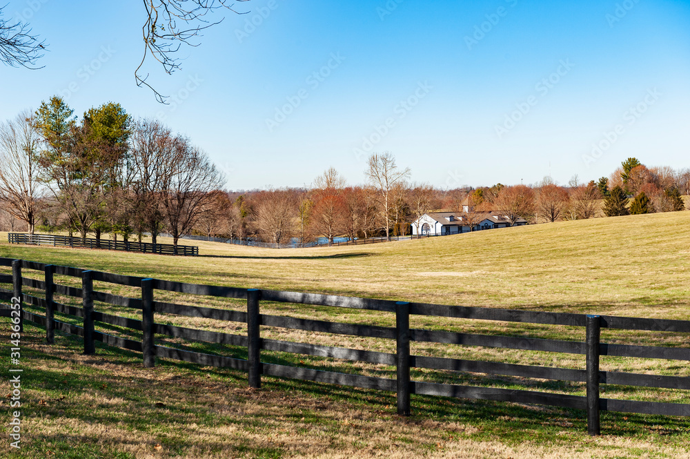 Horse Farm