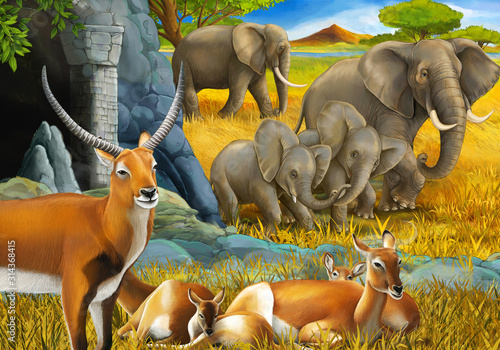 cartoon safari scene with family of antelopes and elephant on the meadow illustration for children