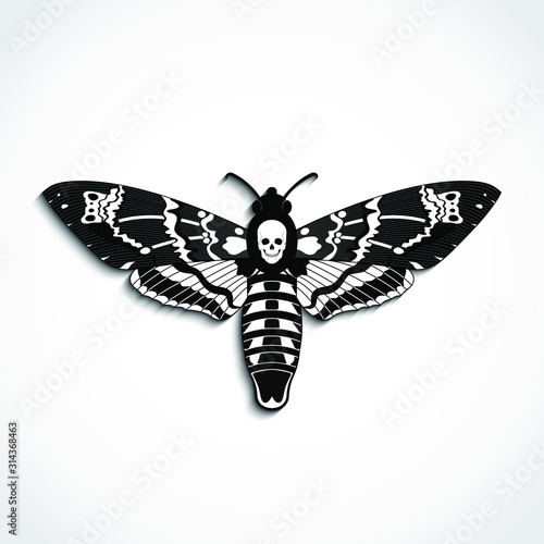 Deaths head moth vector illustration with skull