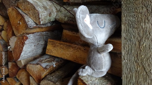 Soft toy rat up the roads on the wood ridge in the wood shed.