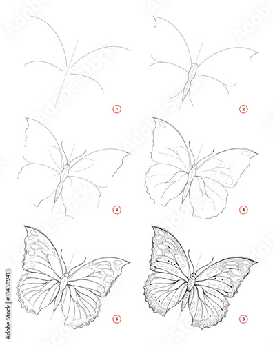How to draw sketch of beautiful fantastic butterfly. Creation step by step pencil drawing. Education for artists. Textbook for developing artistic skills. Hand-drawn vector on computer.