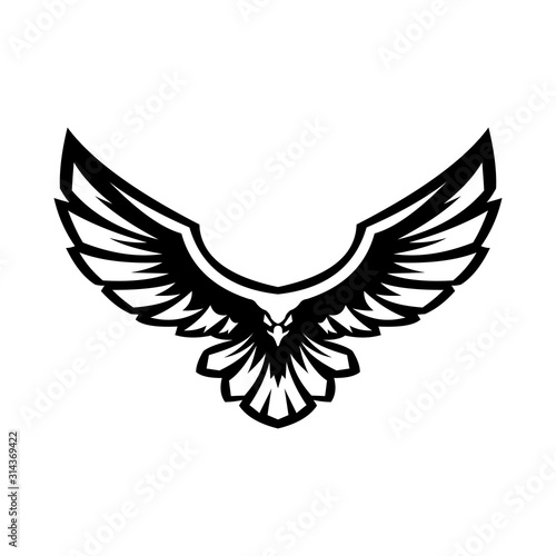 majestic flying eagle ready to attack its prey vector illustration design