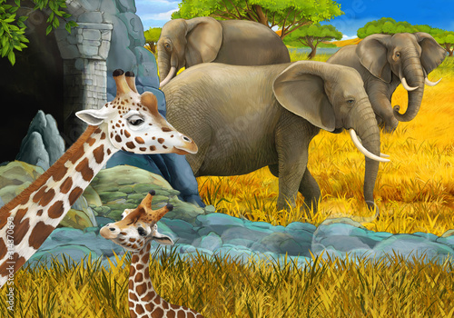 cartoon scene with safari animals giraffe and elephant on the meadow illustration for children