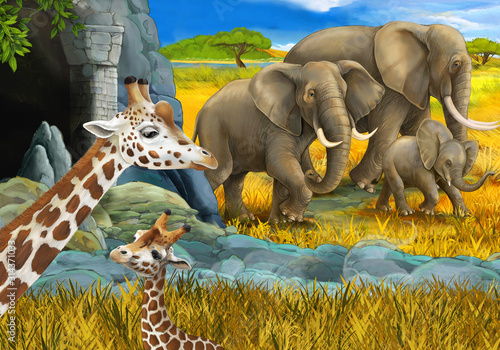 cartoon scene with safari animals giraffe and elephant on the meadow illustration for children