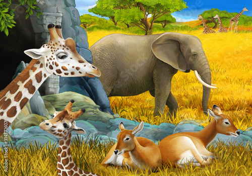 Fototapeta Naklejka Na Ścianę i Meble -  cartoon scene with safari animals giraffe and elephant on the meadow illustration for children