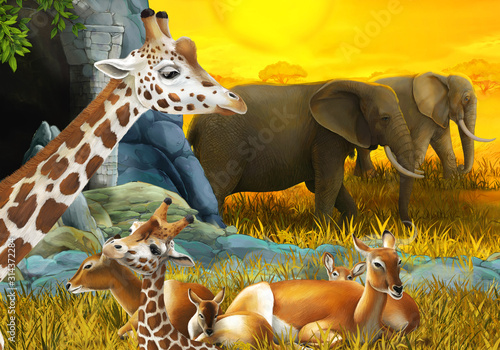 cartoon scene with safari animals giraffe antelope and elephant on the meadow illustration for children