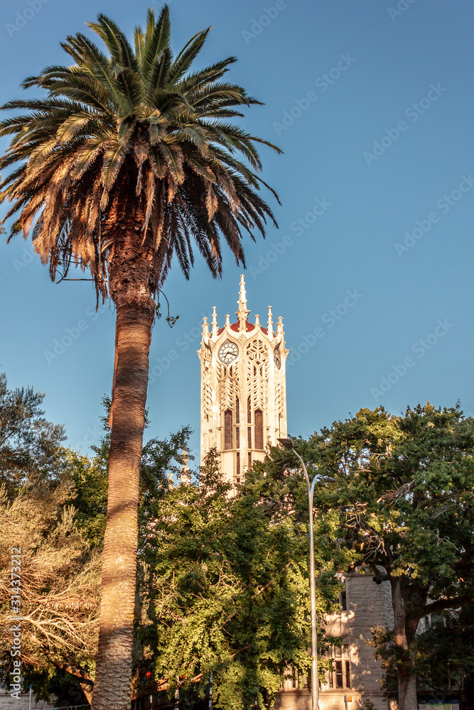 Auckland university clocktower and palm tree