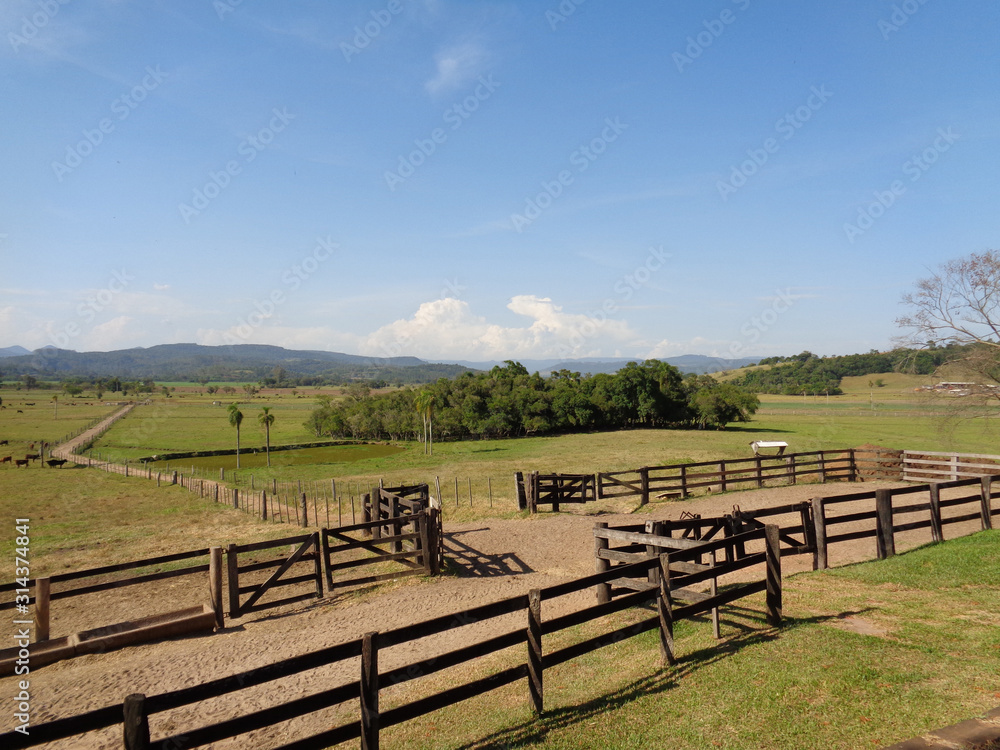 Rural landscape with fence