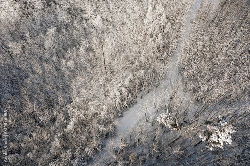 Aerial view of wood covered by fresh snow, winter season. Late afternoon light