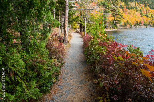 A hiking trail curves through a forest in brilliant fall colors along the shore of a lake photo