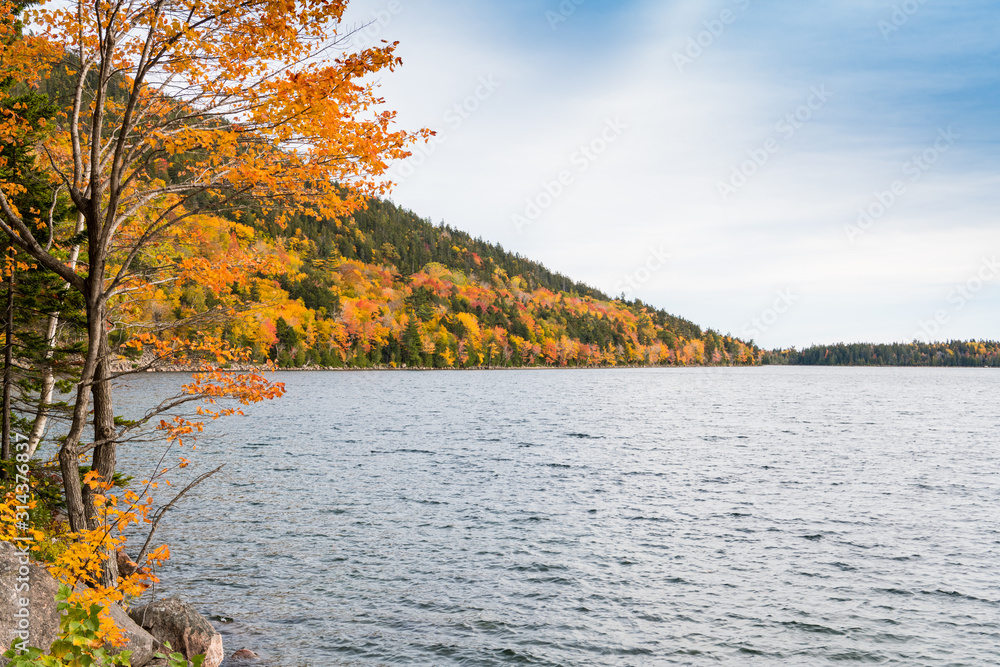 Brilliant fall colors on a hillside curving along  the shore of a lake in Acadia National Park