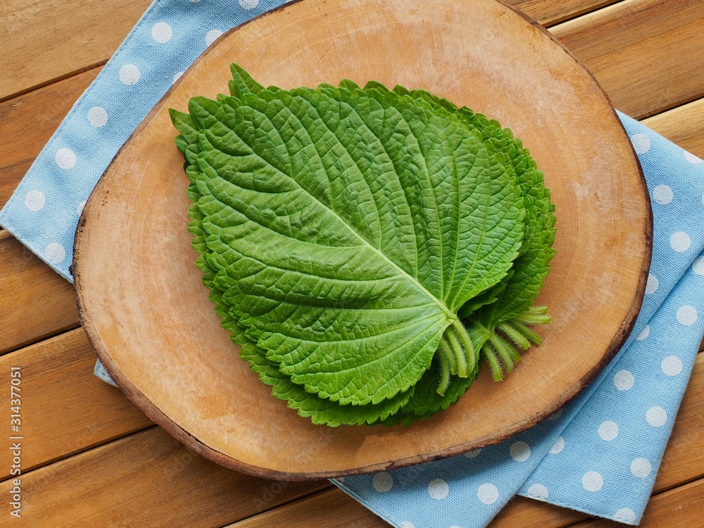 한국의 신선한 유기농 채소 깻잎 Stock 写真 | Adobe Stock