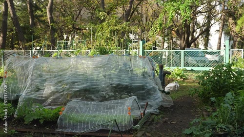 A view of the green house garden in the park area  photo