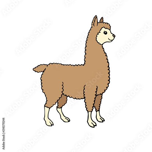 Vector hand drawn doodle sketch colored llama alpaca isolated on white background