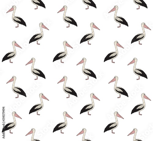 Vector seamless pattern of colored hand drawn doodle sketch pelican isolated on white background