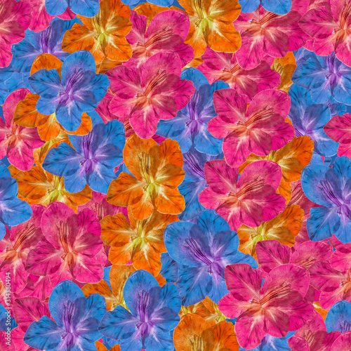 Gladiolus. Illustration, texture of flowers. Seamless pattern for continuous replicate. Floral background, photo collage for production of textile, cotton fabric. For use in wallpaper, covers