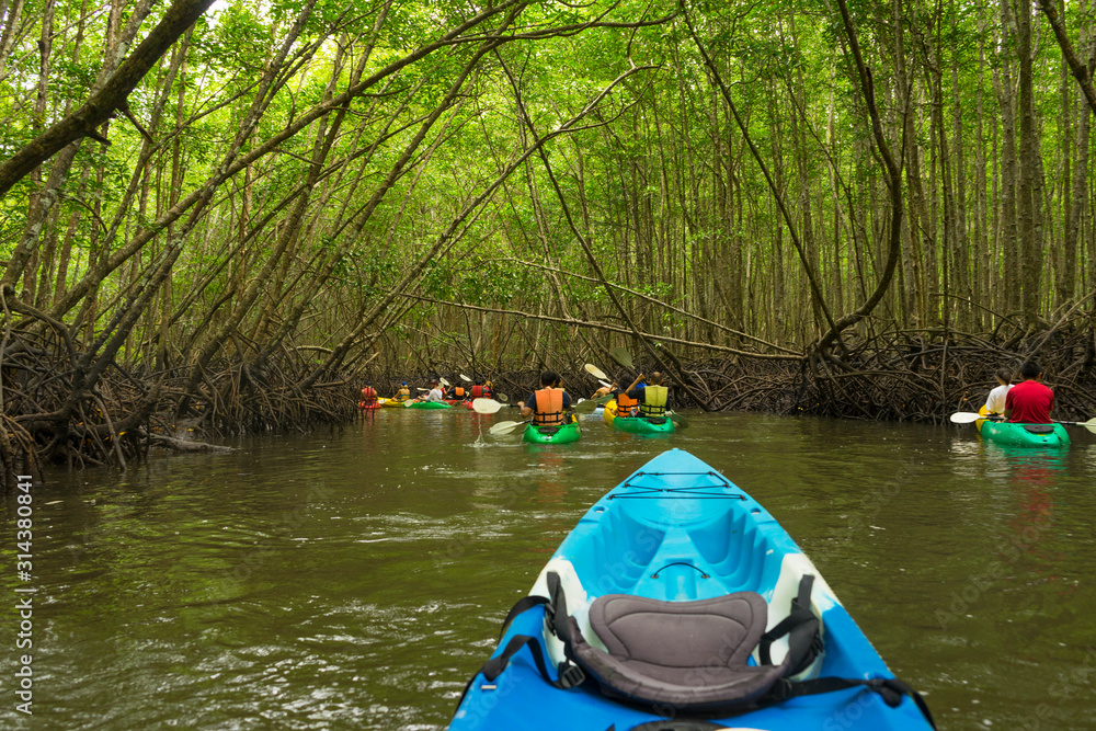 Fototapeta premium Group of tourists kayaking in the mangrove jungle of Krabi, Thailand