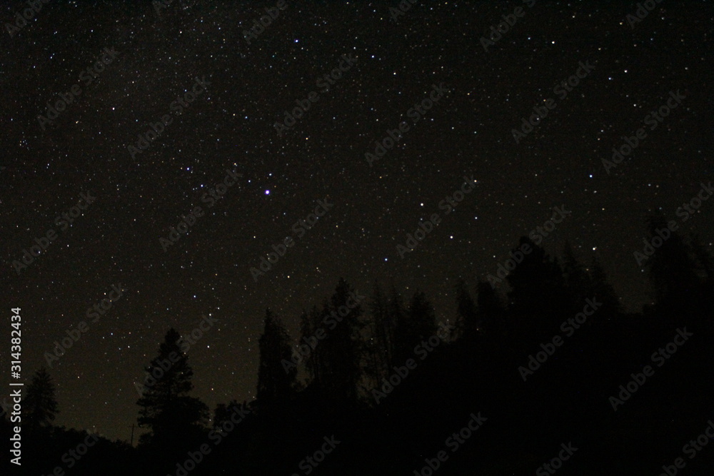 stars stars