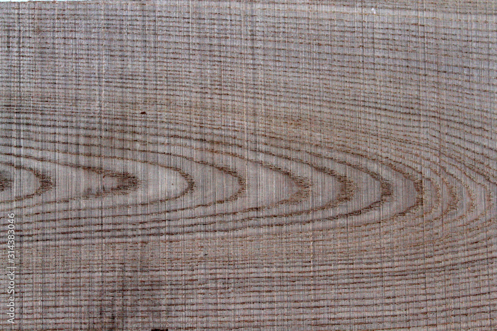 Naklejka premium elm wood texture 1