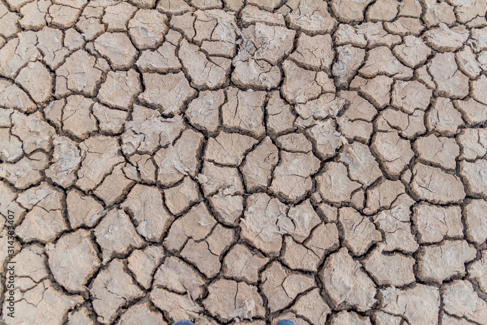 Background of the dried mud cracks Background of the dried mud cracks