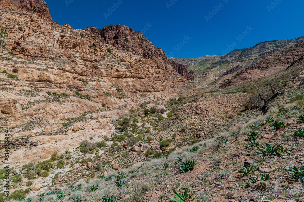 Fototapeta premium Deep Wadi Dana canyon in Dana Biosphere Reserve, Jordan