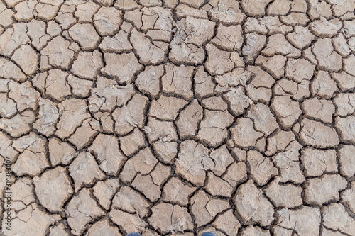 Background of the dried mud cracks