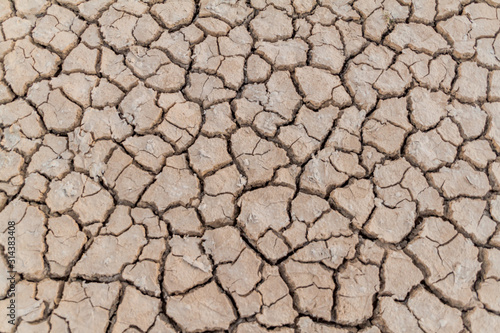 Background of the dried mud cracks