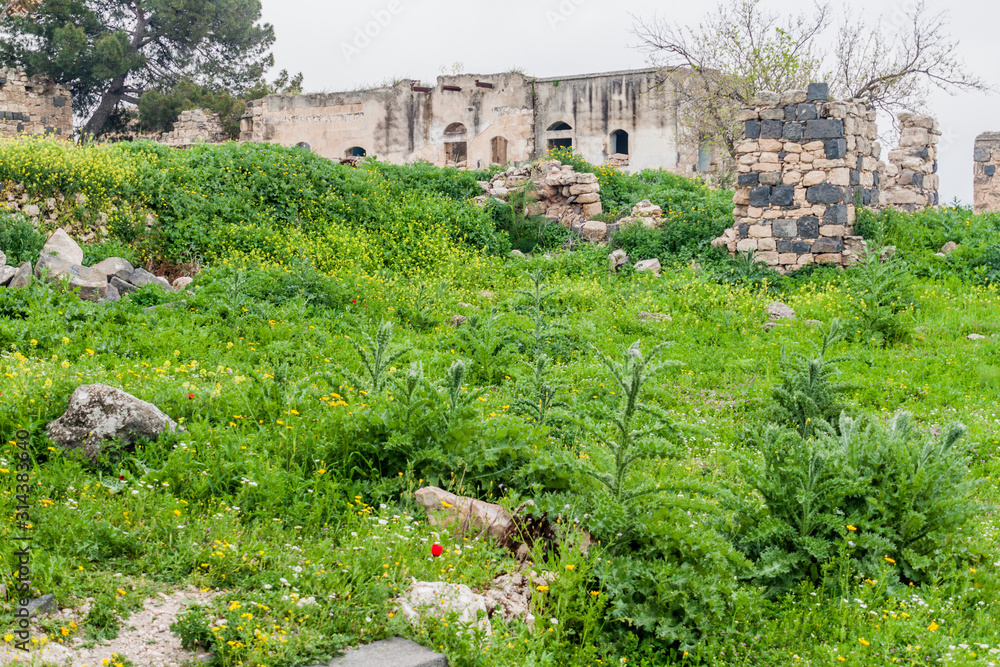 Ancient ruins of Umm Qais, Jordan