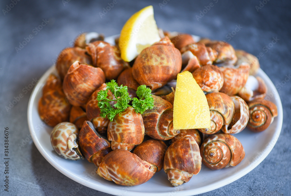Babylonia areolata shellfish seafood with spices lemon green parsley on plate ready for eat or cooked / Spotted babylon Sea shell limpet /