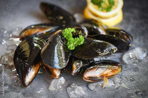 Raw Mussels with herbs lemon and dark plate background - Fresh seafood shellfish on ice in the restaurant or for sale in the market mussel shell food