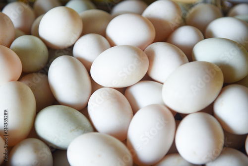 Fresh eggs texture background  produce eggs fresh from the farm organic - duck egg white