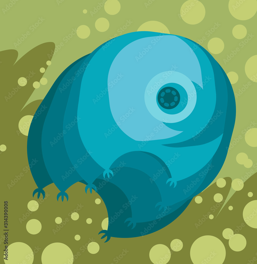waterbear tardigrade tiny microscopic creature waterbear tardigrade tiny microscopic creature