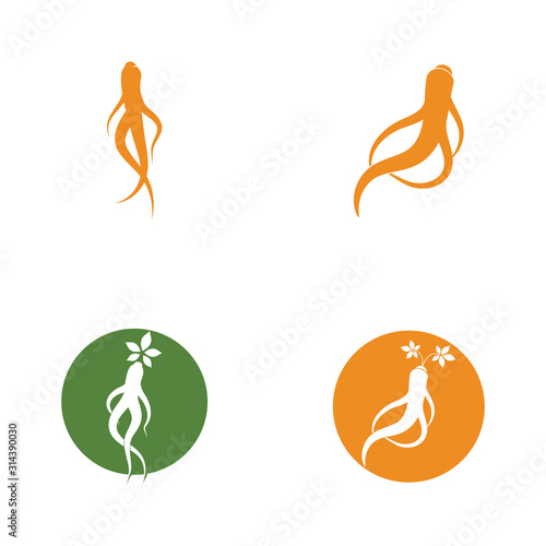 Set of Ginseng icon Vector Illustration design Logo