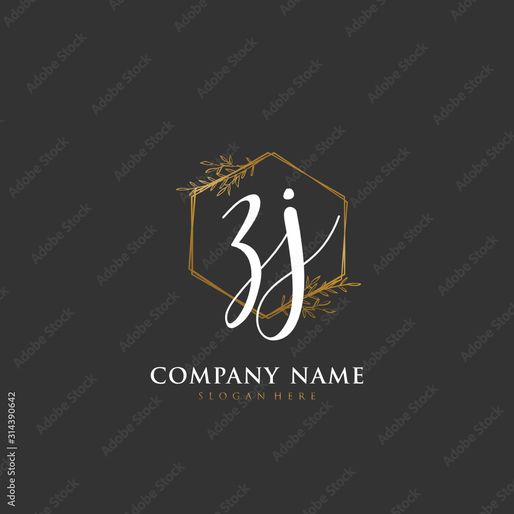 Handwritten initial letter Z J ZJ for identity and logo. Vector logo template with handwriting and signature style. Handwritten initial letter Z J ZJ for identity and logo. Vector logo template with handwriting and signature style.