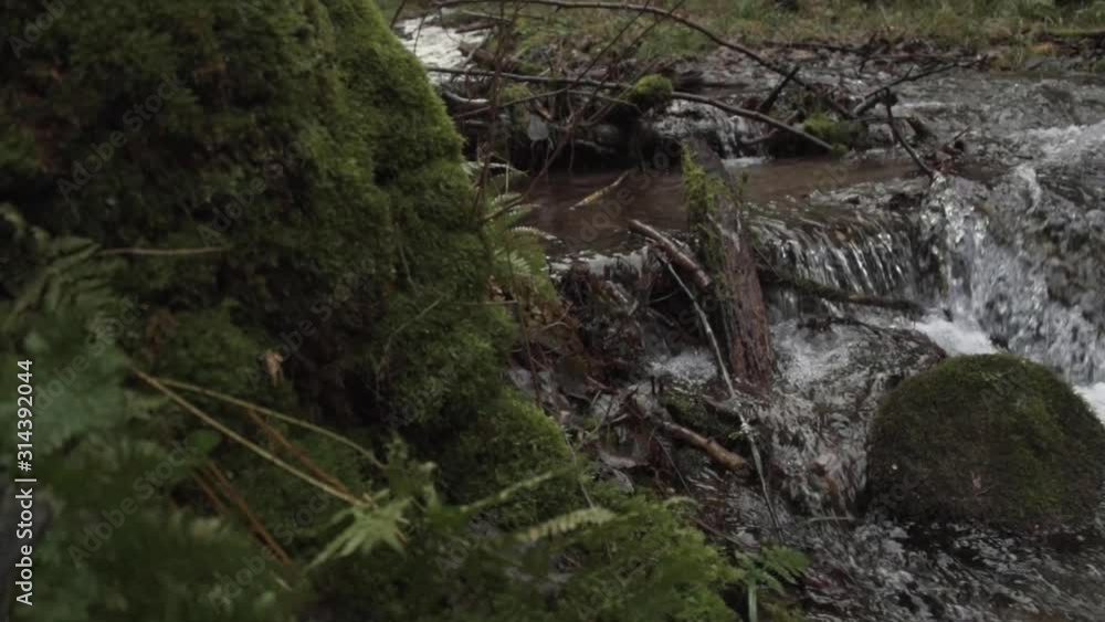 pan shot of little creek running in moss covered ground pan shot of little creek running in moss covered ground