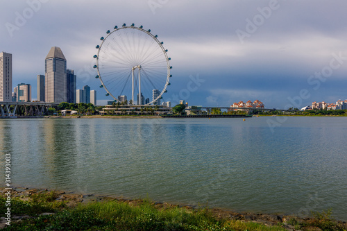 View to Ferris Wheel from Garden by the Bay, Singapore