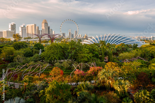 Panoramic view of Gardens By the Bay and Ferris Wheel on the horizon, Singapore
