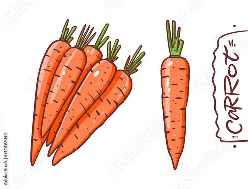 Cute carrots collection set. Vector illustration. Cartoon style.