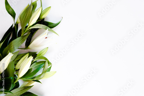 lily flower isolated on a white background. Saint Valentine's and engagement concept.