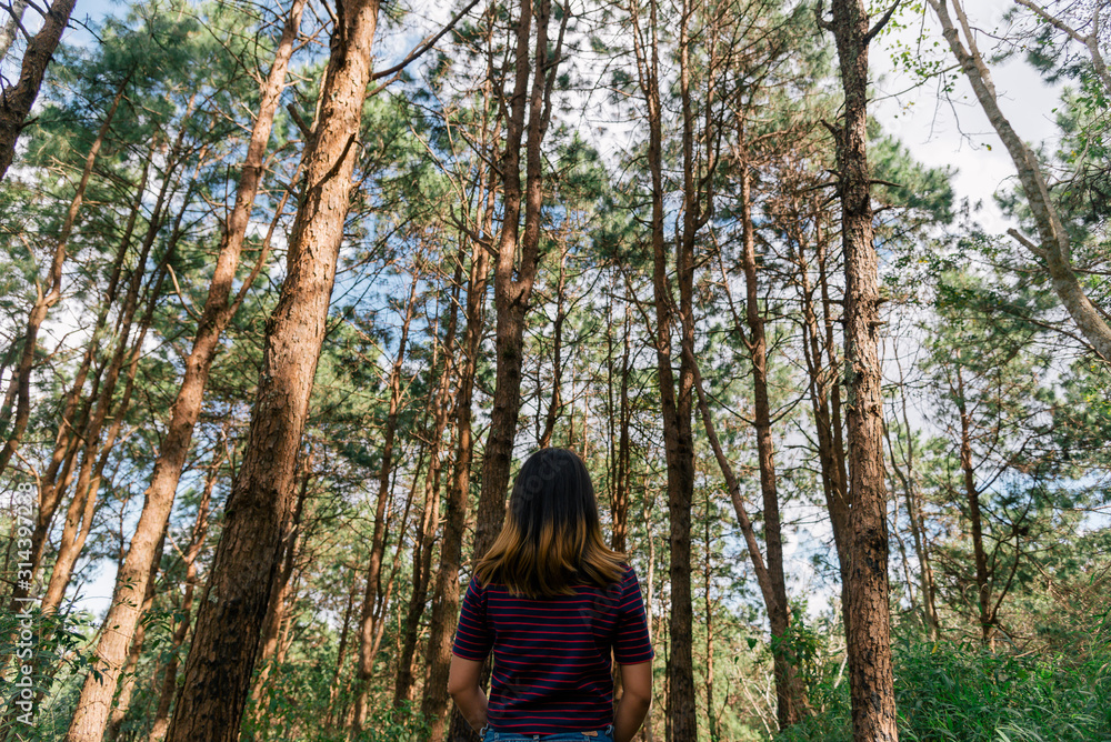 woman in forest woman in forest