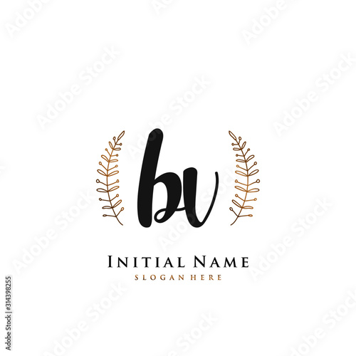 BV Initial handwriting logo vector 