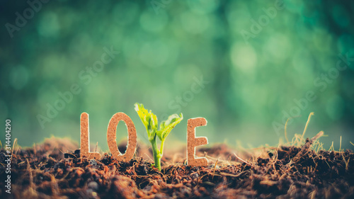 фотографія Letters and trees make up the word love over blurred green background